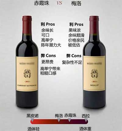 梅洛和赤霞珠的区别，梅洛单宁低口感柔和/赤霞珠单宁高口感强劲2.jpg