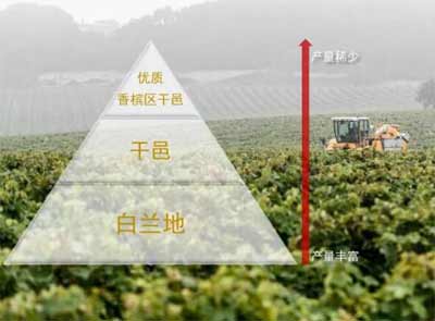 干邑是什么意思，是法国干邑产区的葡萄蒸馏酒也是最好的白兰地2.jpg